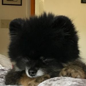 Meet your Posher, Candace